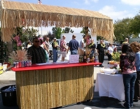 Tiki Bars